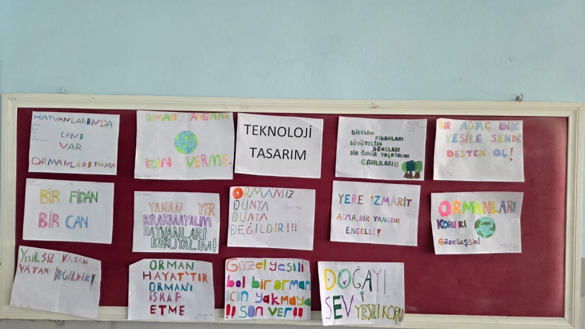 İlk Dersimiz:Yeşil Vatan'ımız